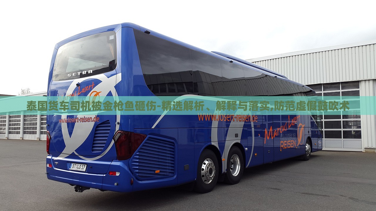 泰國(guó)貨車(chē)司機(jī)被金槍魚(yú)砸傷-精選解析、解釋與落實(shí),防范虛假鼓吹術(shù)