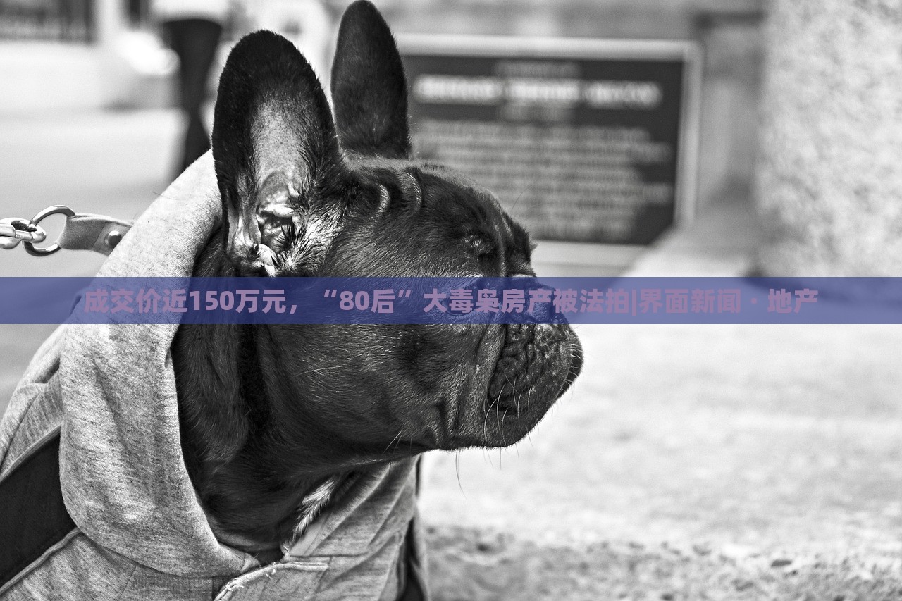 成交價近150萬元，“80后”大毒梟房產(chǎn)被法拍|界面新聞 · 地產(chǎn)