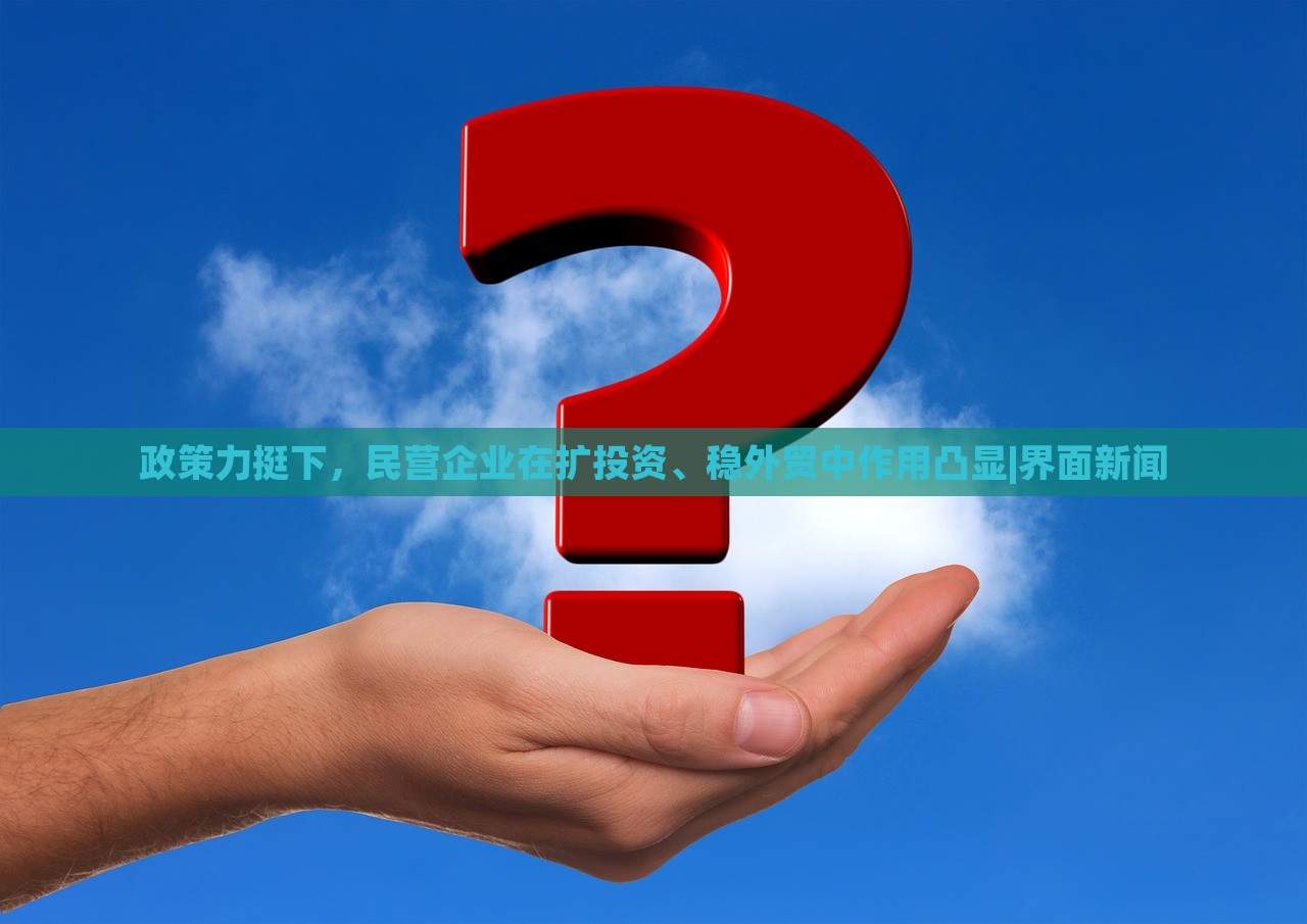 政策力挺下，民營企業(yè)在擴投資、穩(wěn)外貿(mào)中作用凸顯|界面新聞