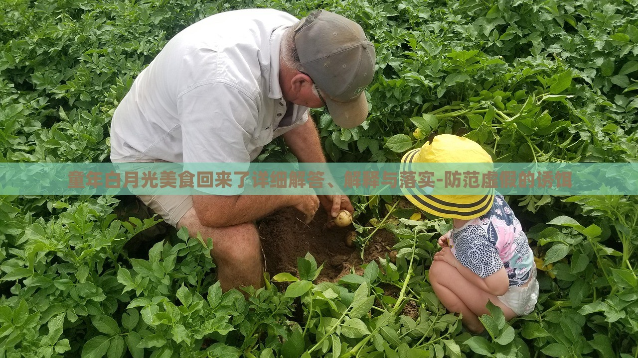 童年白月光美食回來了詳細(xì)解答、解釋與落實(shí)-防范虛假的誘餌