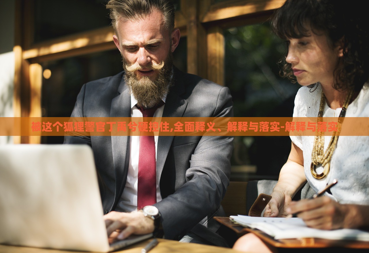 被這個狐貍警官丁禹兮硬控住,全面釋義、解釋與落實-解釋與落實