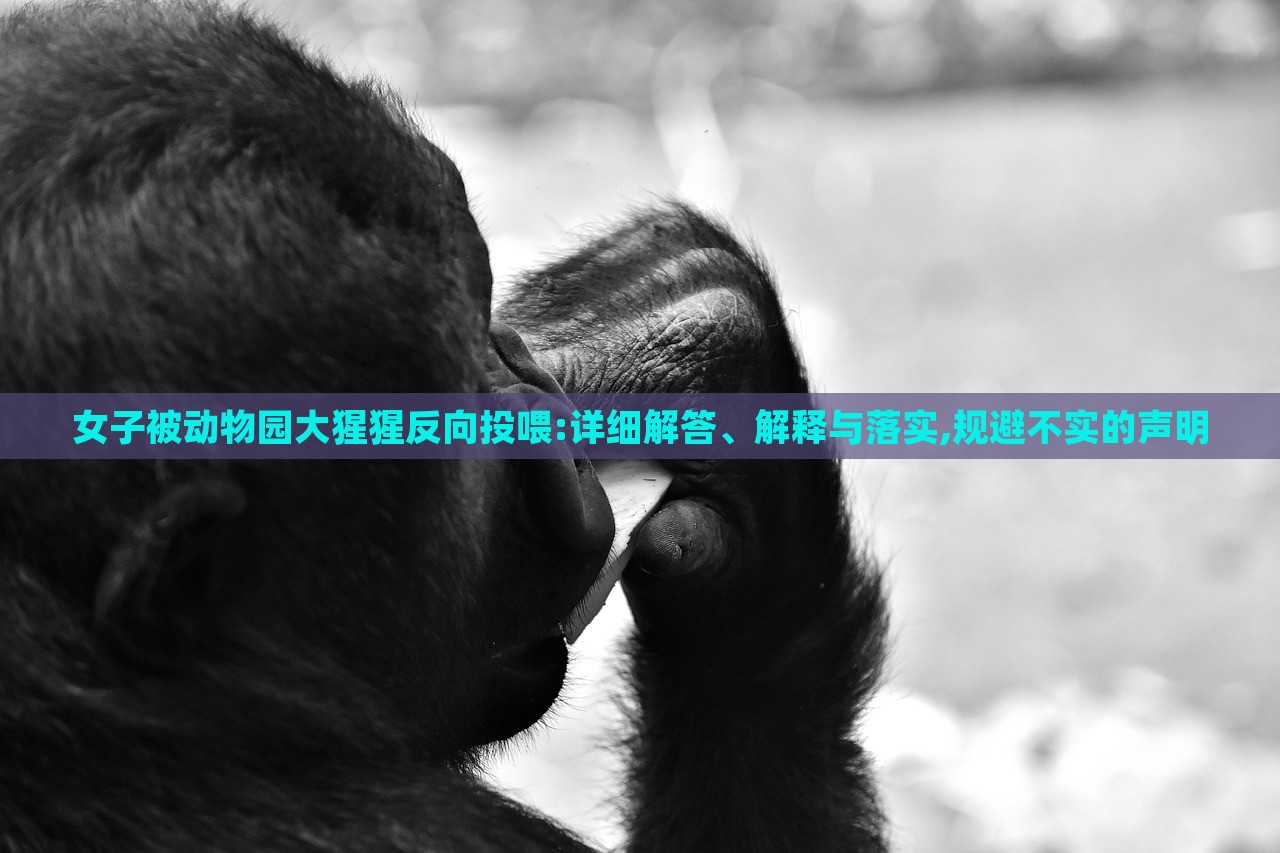 女子被動物園大猩猩反向投喂:詳細(xì)解答、解釋與落實(shí),規(guī)避不實(shí)的聲明 女子被動物園大猩猩反向投喂:詳細(xì)解答、解釋與落實(shí),規(guī)避不實(shí)的聲明