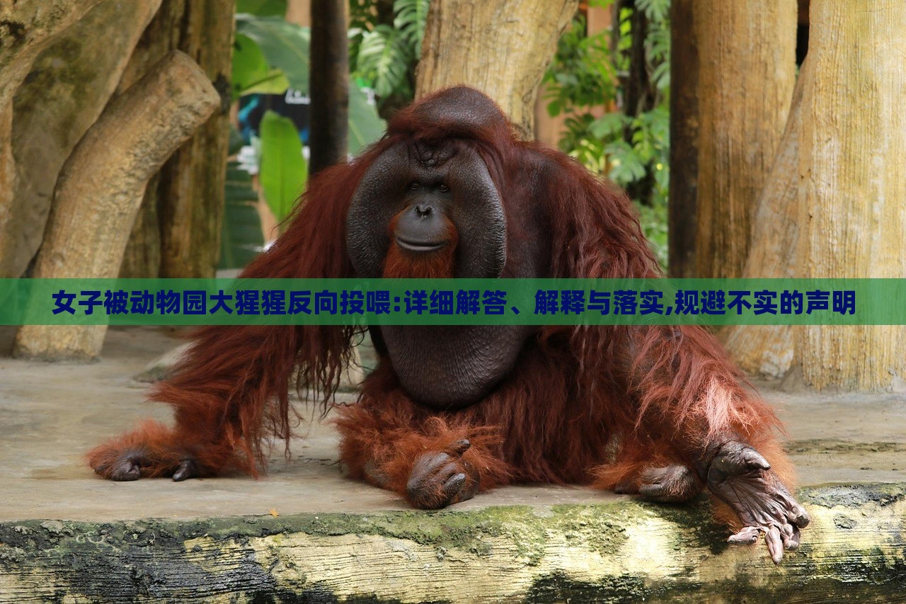 女子被動物園大猩猩反向投喂:詳細(xì)解答、解釋與落實(shí),規(guī)避不實(shí)的聲明 女子被動物園大猩猩反向投喂:詳細(xì)解答、解釋與落實(shí),規(guī)避不實(shí)的聲明