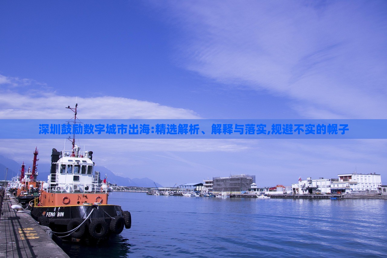 深圳鼓勵數(shù)字城市出海:精選解析、解釋與落實,規(guī)避不實的幌子