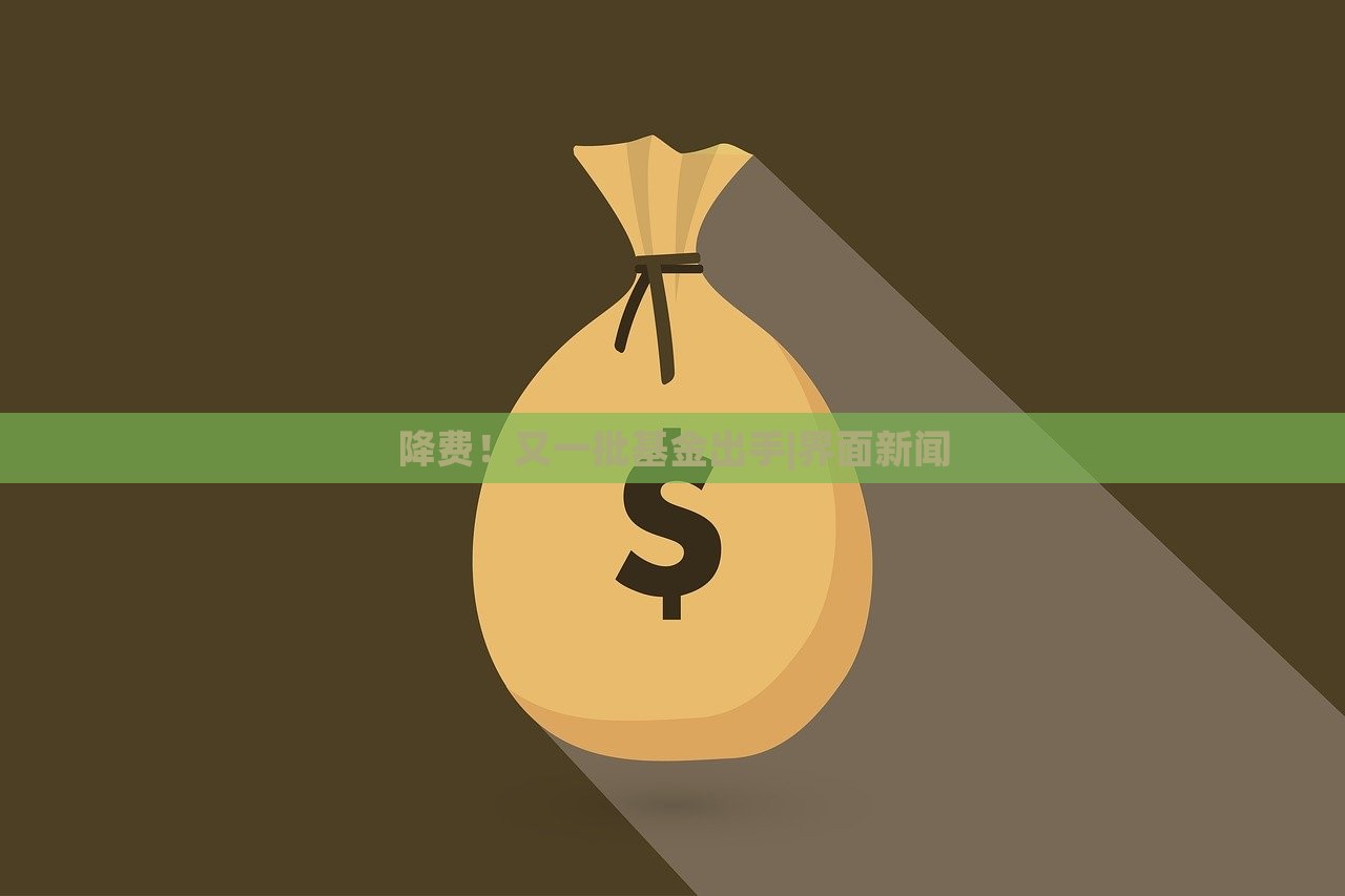 降費！又一批基金出手|界面新聞