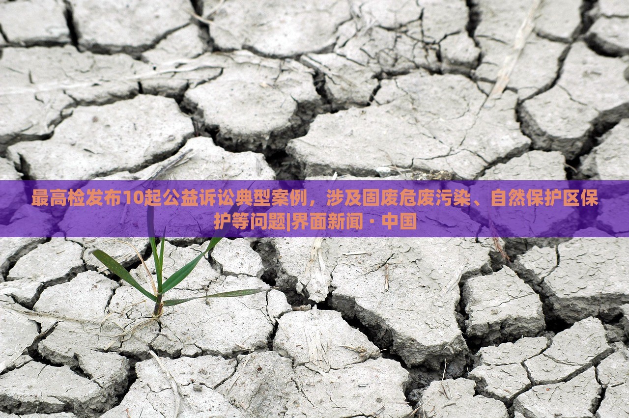 最高檢發(fā)布10起公益訴訟典型案例，涉及固廢危廢污染、自然保護(hù)區(qū)保護(hù)等問(wèn)題|界面新聞 · 中國(guó)