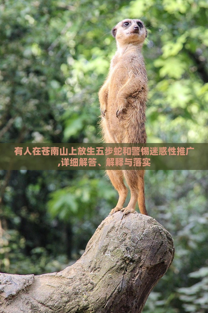 有人在蒼南山上放生五步蛇和警惕迷惑性推廣,詳細(xì)解答、解釋與落實(shí)