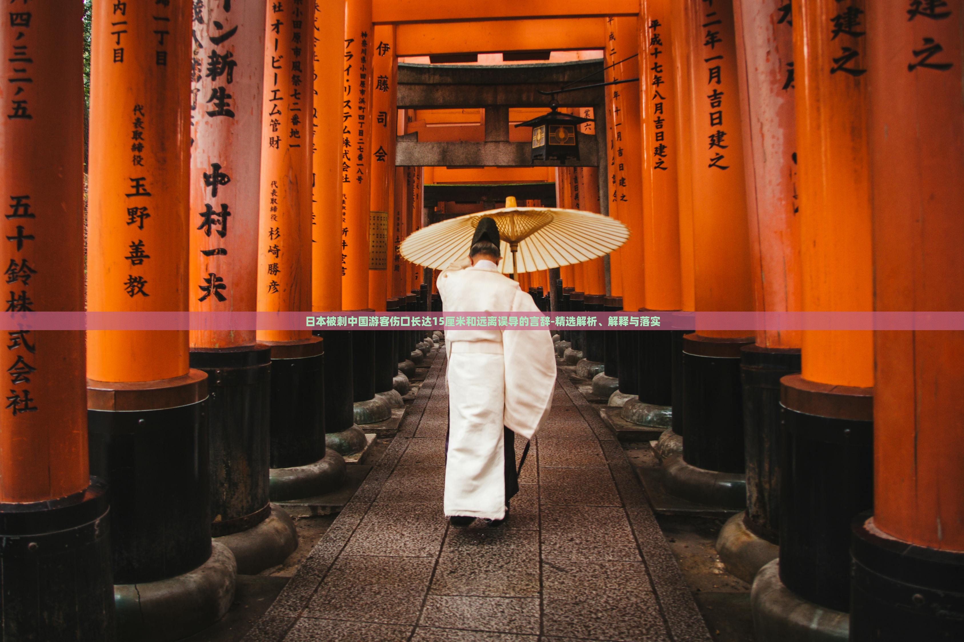 日本被刺中國(guó)游客傷口長(zhǎng)達(dá)15厘米和遠(yuǎn)離誤導(dǎo)的言辭-精選解析、解釋與落實(shí)